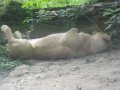 IMGP0870.JPG